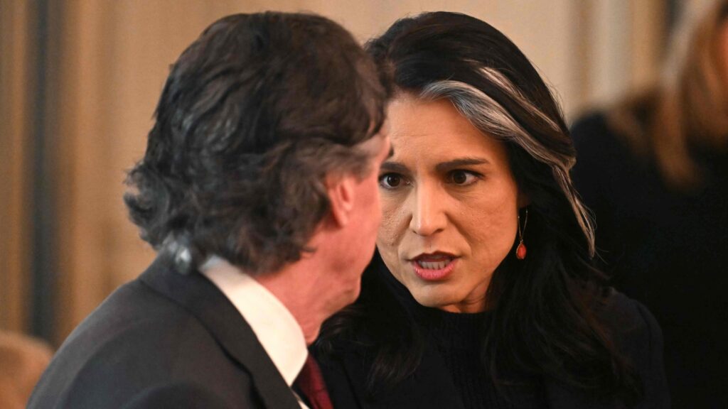 Tulsi Gabbard to dismiss 100 intel officers over misuse of classified NSA chatroom for transgender discussions | World News