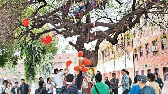 Valentine’s Day 2025: Damdami Mai Puja absent at Hindu College! Is DU’s famed Virgin Tree tradition losing its legacy?