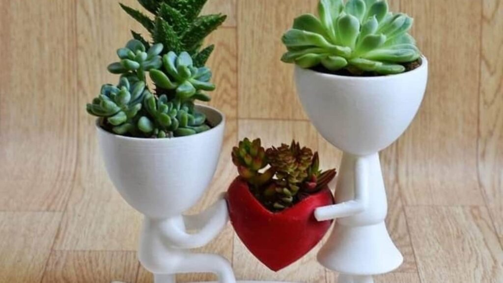Valentine’s Day 2025 best gift ideas: Forget chocolates, these unique romantic gifts will steal your partner’s heart