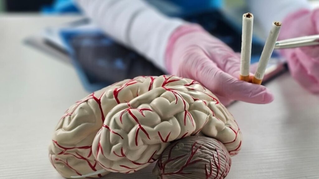 Why are smokers more prone to Alzheimer’s? Doctor explains | Health