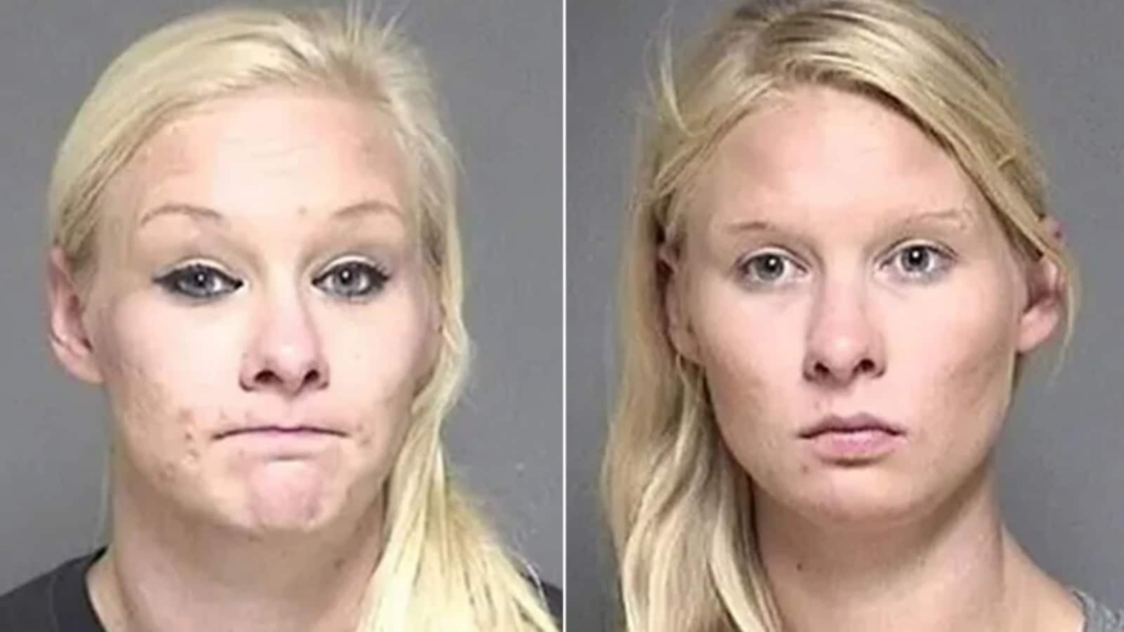 Woman’s twin sister tries taking blame for horror crash that killed 2 kids in US | Trending