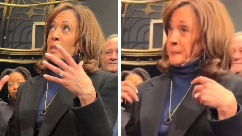 ‘Salad queen’: Kamala Harris brutally mocked over ‘embarrassing’ pep talk to Broadway cast