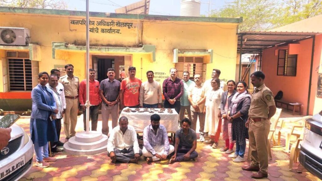 151 monitor lizard penises seized by forest dept  | Mumbai news