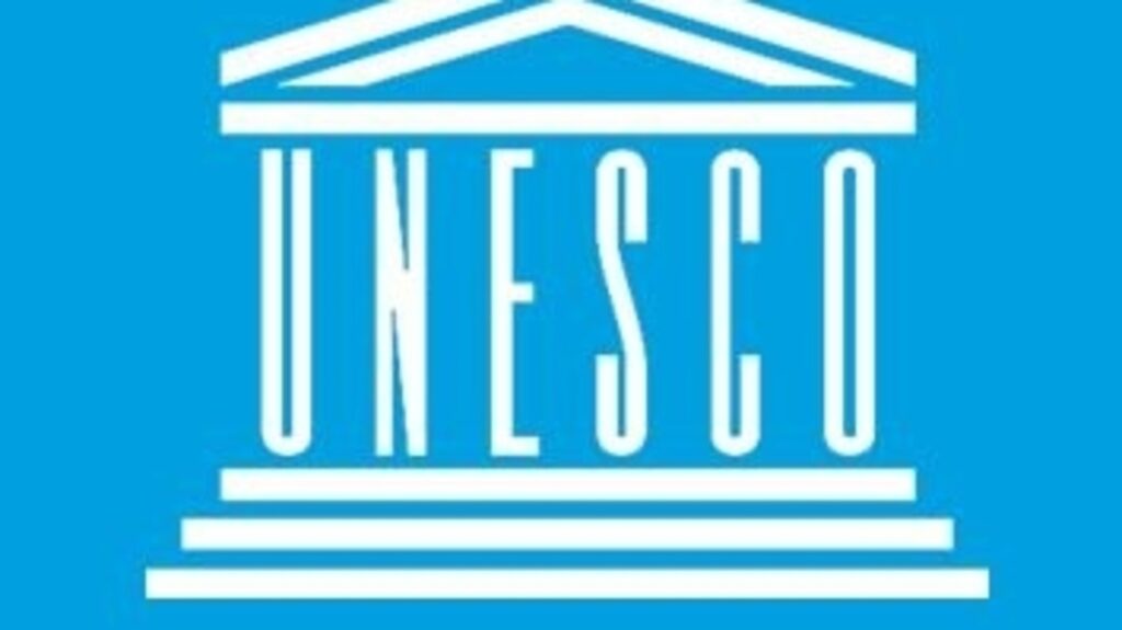 40% global population doesn’t have access to education in language they understand, according to UNESCO | Education