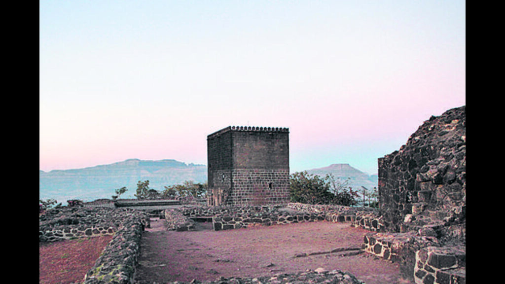 45 injured in bee attack at Shivneri fort