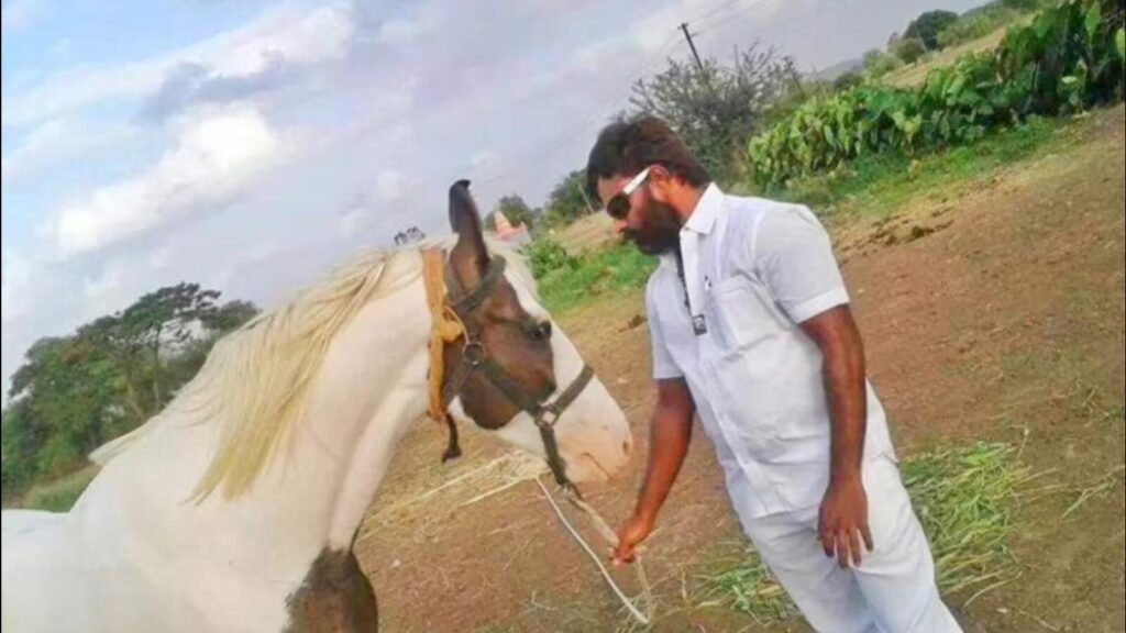 A gangster’s horse, trapped in legal limbo