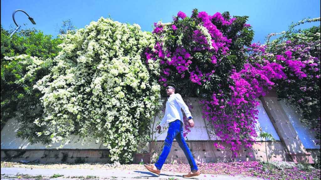 AQI back to ‘moderate’ on windy day in Delhi | Latest News Delhi