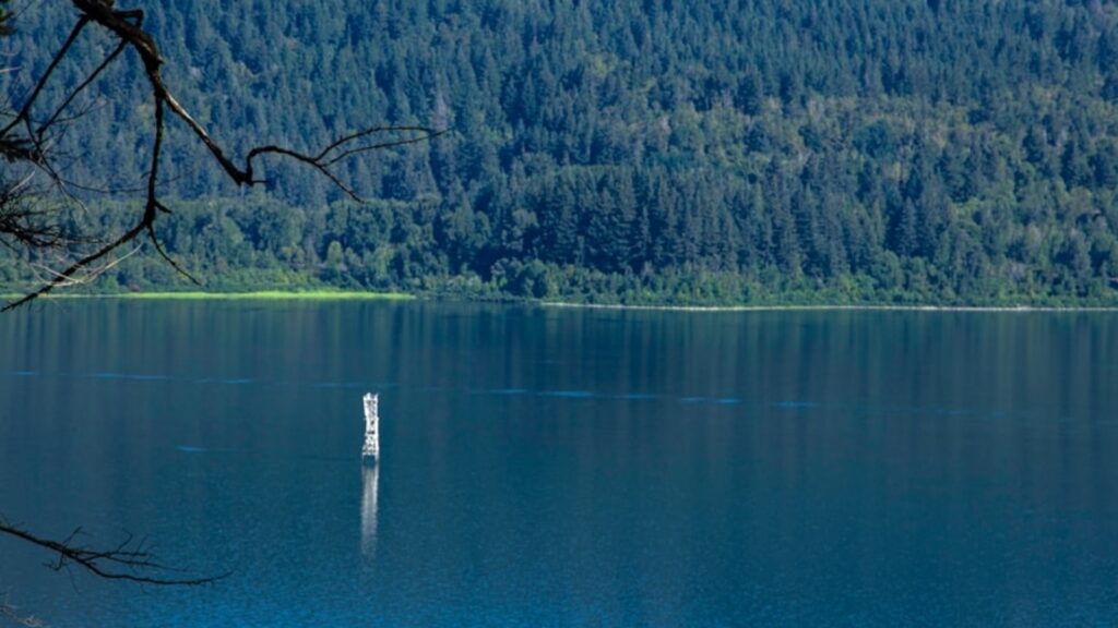 Body found in Siletz River during search for missing Oregon child Dane Paulsen