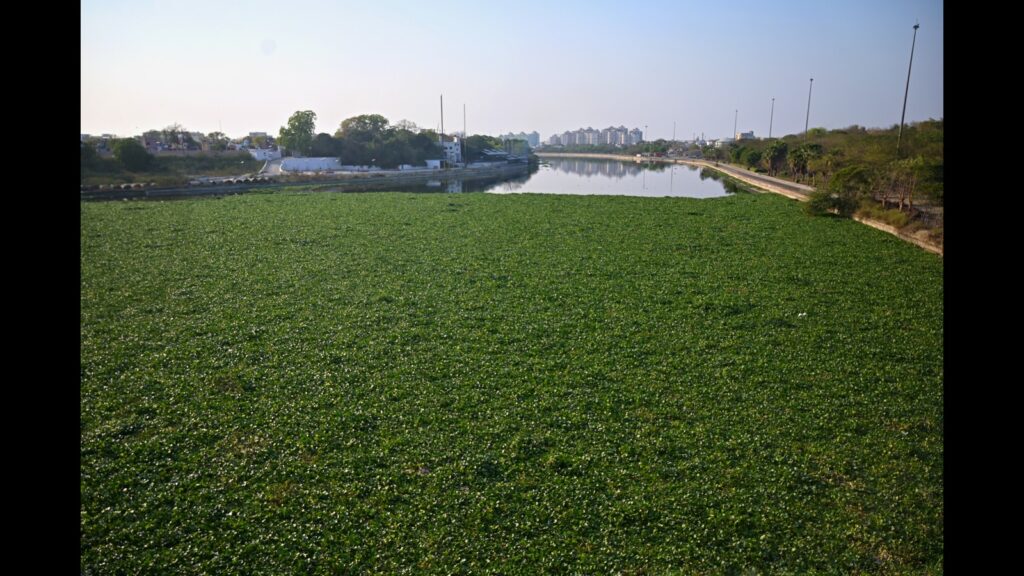 Boom barrier to check floating debris, hyacinth in Gomti