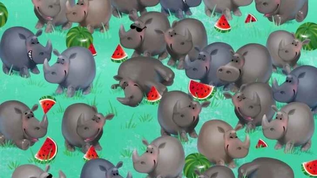 Can you spot the hidden hippo among the rhinos? Optical illusion leaves internet stumped | Trending