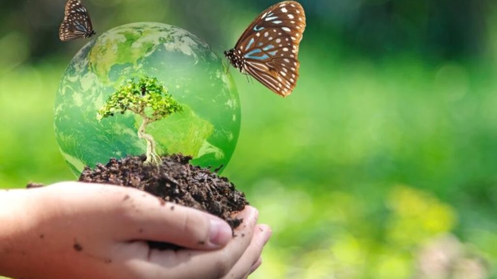 Carbon Credit Trading Scheme could help India’s climate leadership role