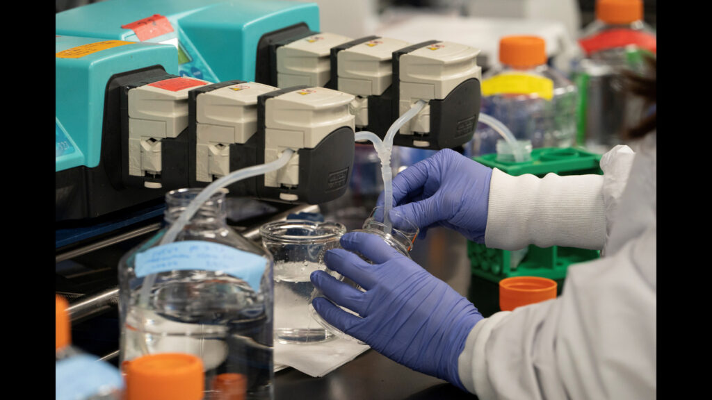 Chemist association demands action against doctors for alleged illegal sale of medicines 