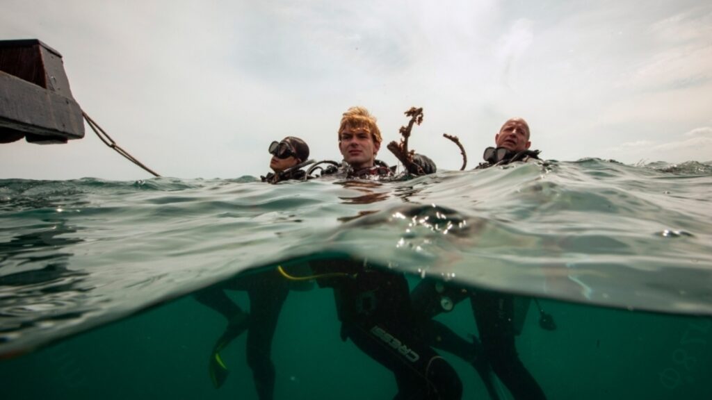 Coral reefs of Vietnam’s Nha Trang face collapse: Can conservation efforts reverse the damage? | Travel