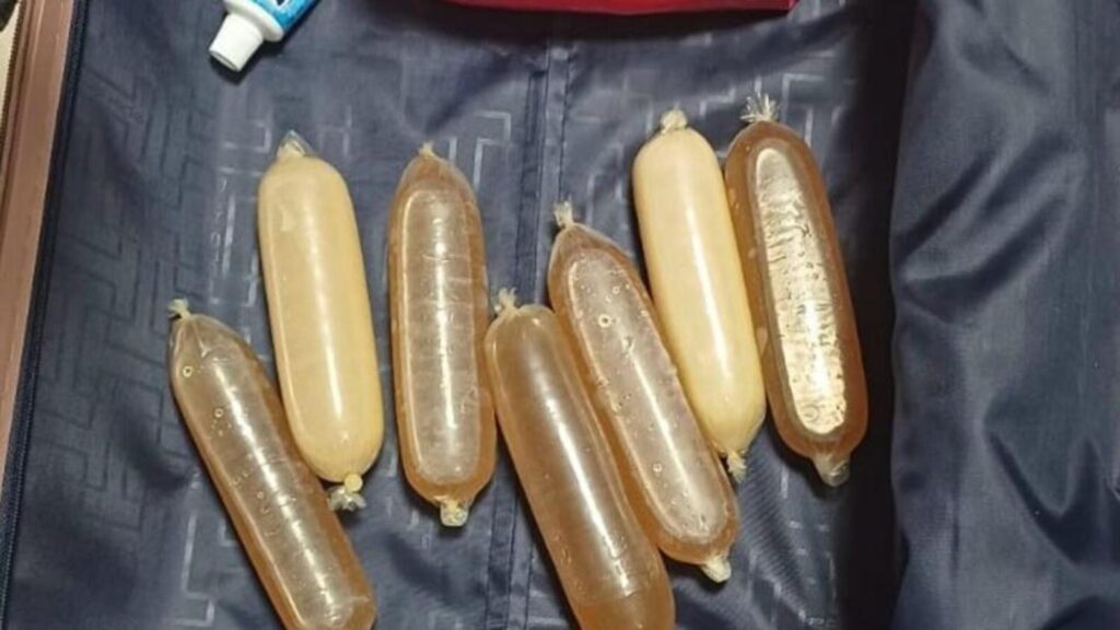 DRI seizes cocaine worth ₹11.1 cr, arrests Brazilian woman | Mumbai news