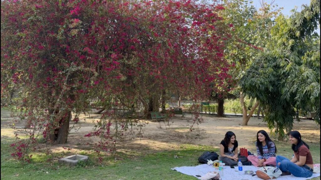 Delhiwale: Pink, small and punctual | Latest News Delhi