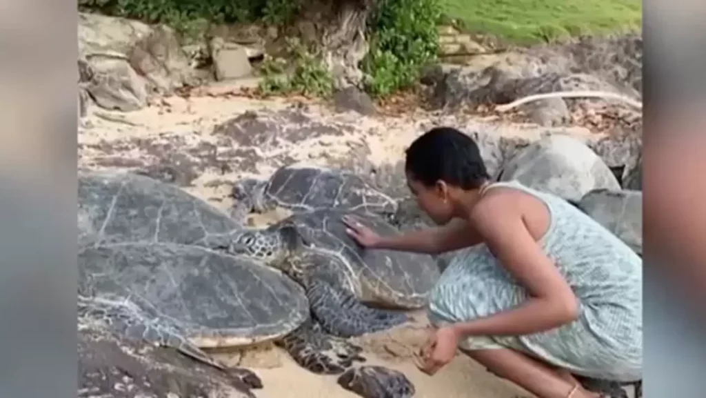 Disney’s China Anne McClain breaks silence after facing backlash for touching sea turtles, ‘I was not fully…’ | Hollywood