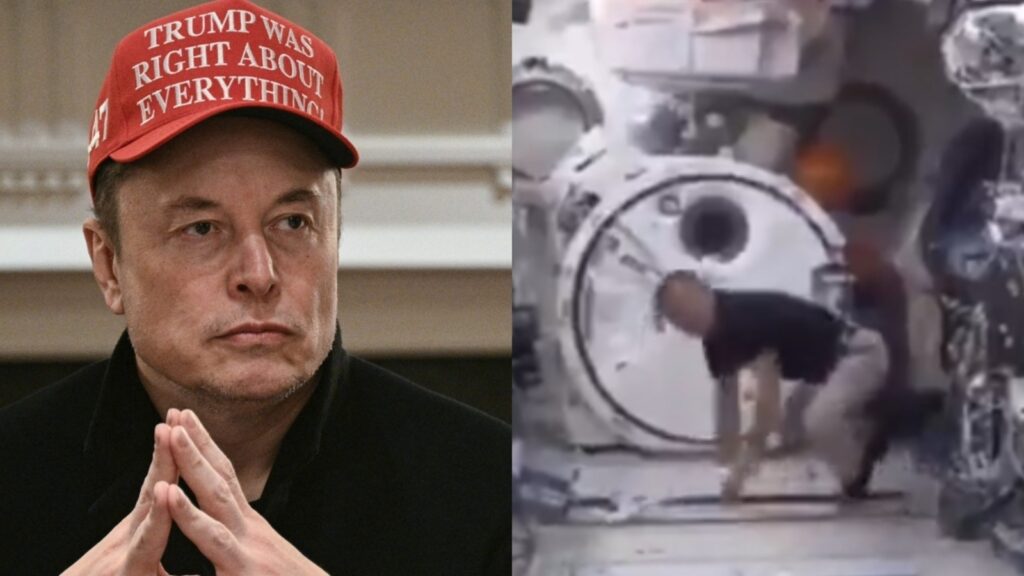 Elon Musk reacts as Japanese astronaut plays solo baseball in space. Video | Trending