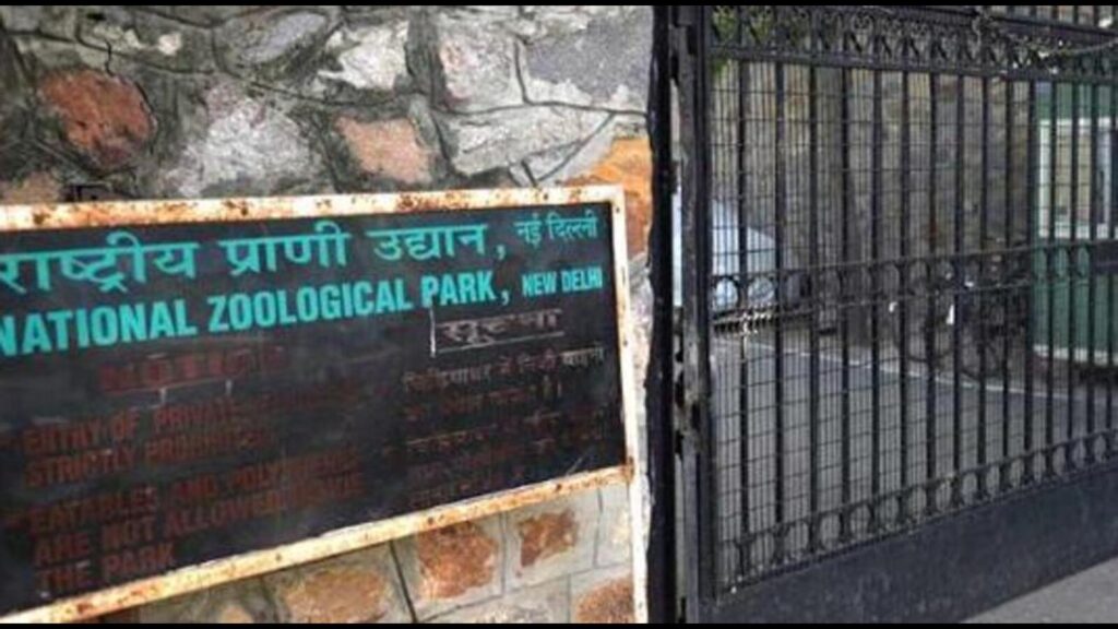Female dhole, 9, dies at Delhi zoo; autopsy ordered | Latest News Delhi