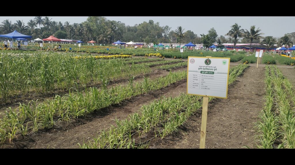 First ‘residue-free sustainable farming’ exhibition held in Pune