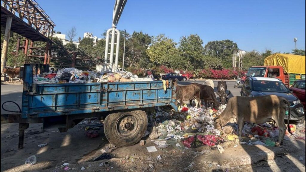 Ggm face worsening sanitation woes, MCG promises action