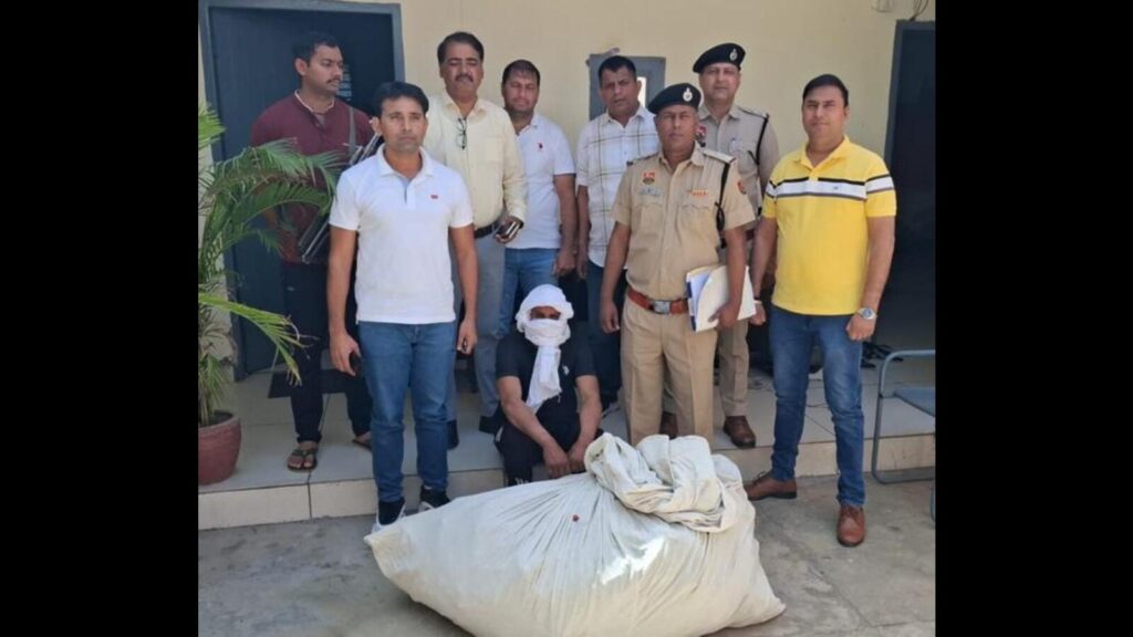 Haryana: Cops recover over 400 poppy plants from varsity campus; gardener held