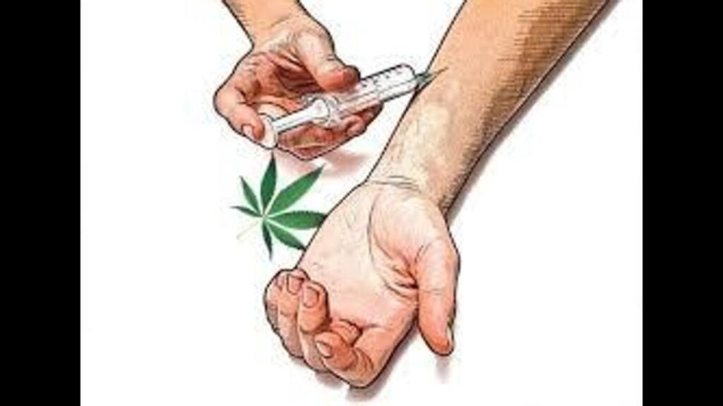 Haryana: Over 1.84 lakh youths treated, 50,628 freed from drug addiction, says govt