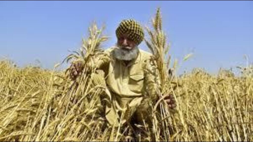 Haryana forms panel to study crop cultivation cost