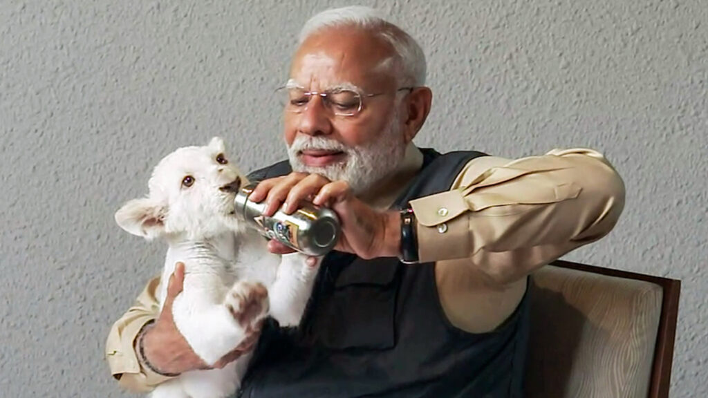 How PM Modi interacted with lions and tigers, played with cubs at Jamnagar’s Vantara | Photos