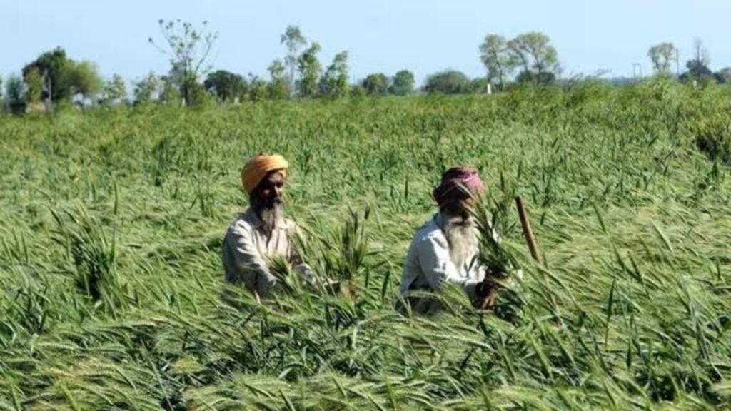 How government reforms are boosting farmer incomes