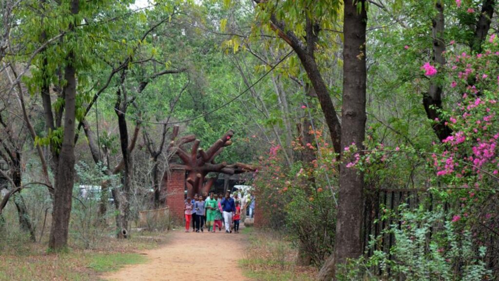 Human intrusion harming bird haven at Bhondsi forest in Gurugram