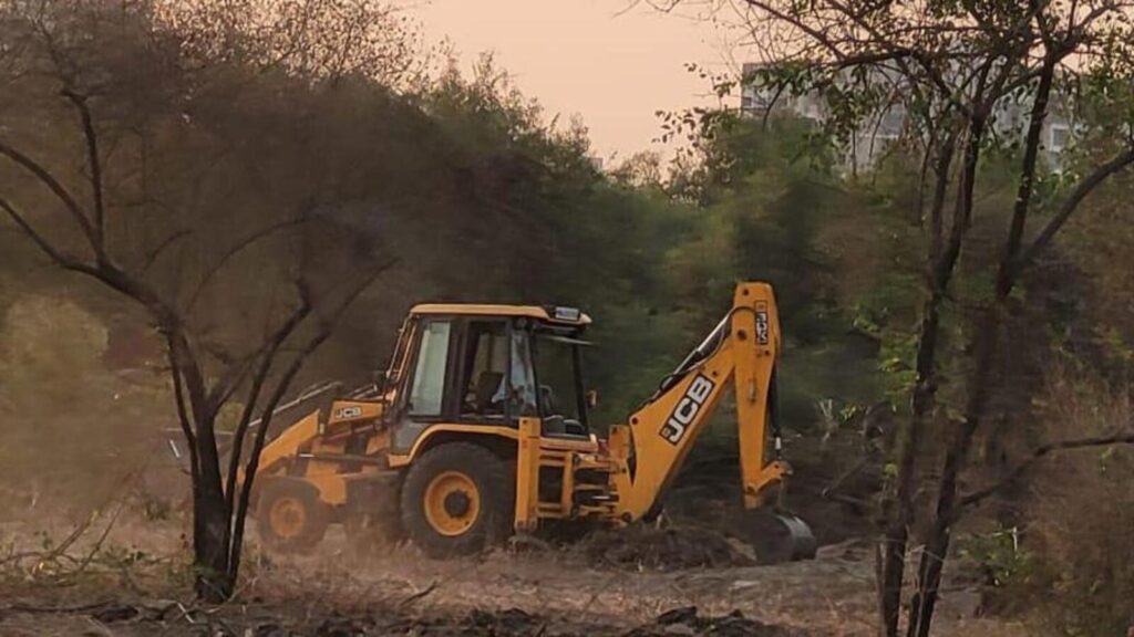 Hundreds of trees illegally felled in Nerul eco-sensitive zone, sparking outrage | Mumbai news