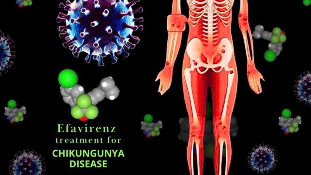IIT Roorkee researchers discover potential drug to treat Chikungunya and other mosquito-borne diseases | Education
