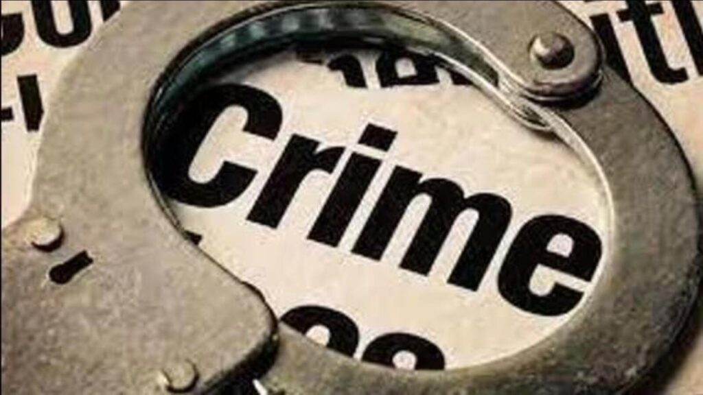 Ludhiana: Fish market chief, son booked for murder bid on factory owner, nephew