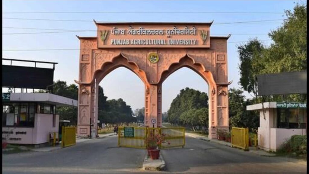 Ludhiana: PAU student wins best PhD thesis award