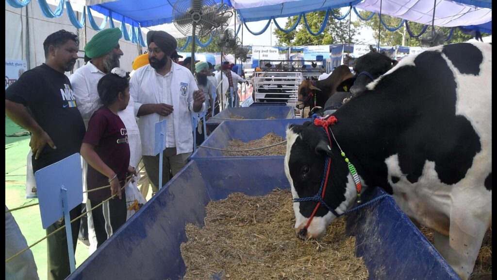 Ludhiana: Pashu Palan Mela comes to an end at vet varsity