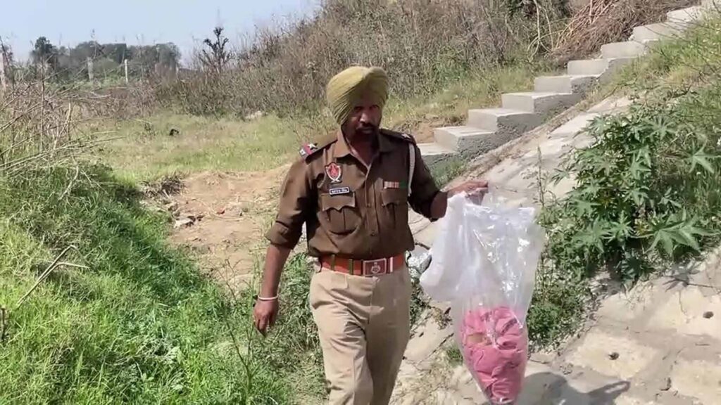 Ludhiana: Woman’s body found with mouth gagged in field: Cops