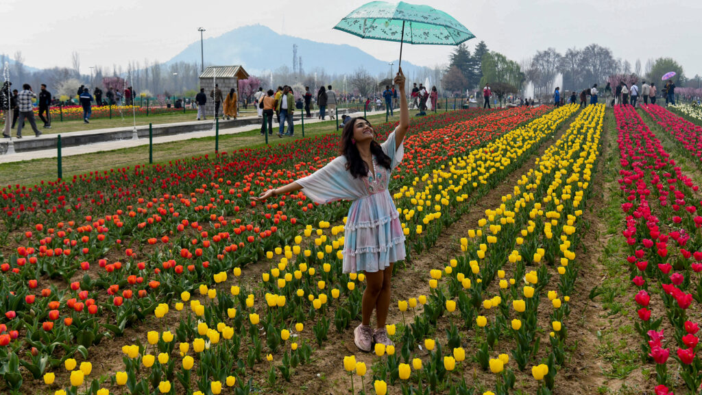 Move over Netherlands, Asia’s largest tulip garden in Srinagar opens for public | Travel