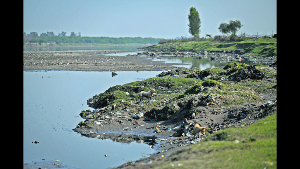 NGT issues notice to PMRDA, Rajgurunagar Municipal Council for pollution in Bhima River  