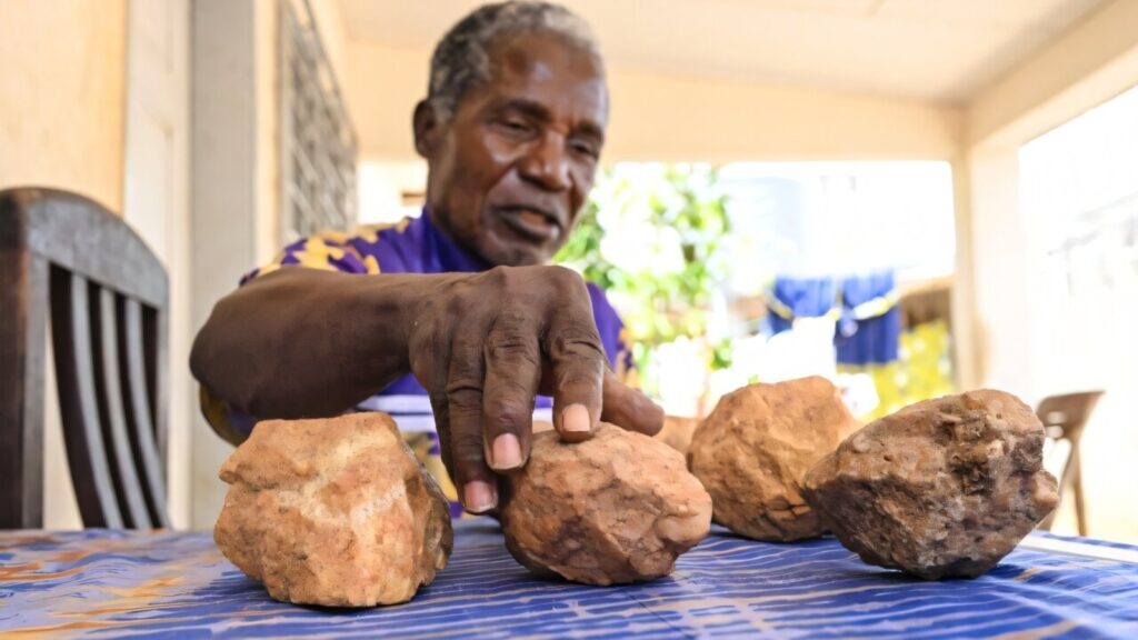 New findings in Ivory Coast prove early humans thrived in tropical forests 150,000 years ago