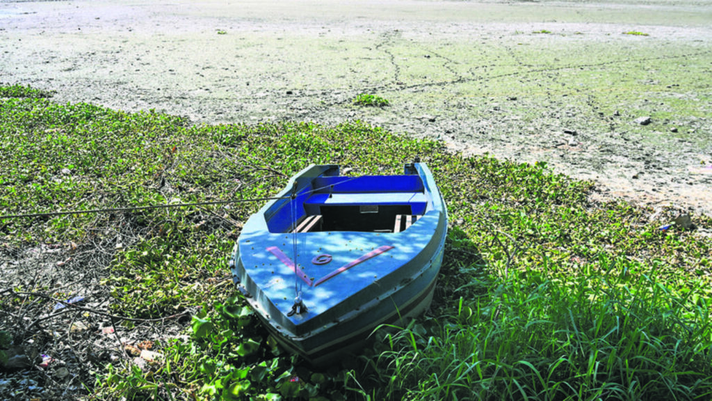 No water at Okhla sanctuary, UP irrigation dept under fire