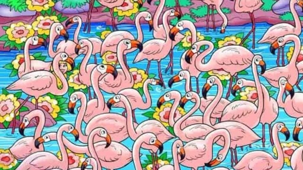 Optical illusion: Spot the hidden woman among flamingos, claim the visual genius title | Trending