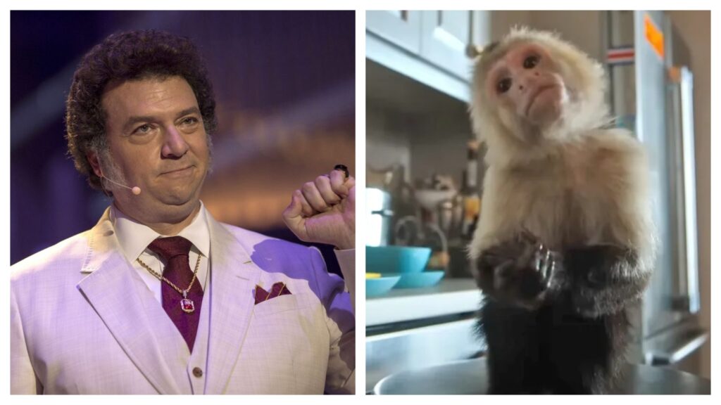 PETA warns Danny McBride over possible use of a monkey on The Righteous Gemstones