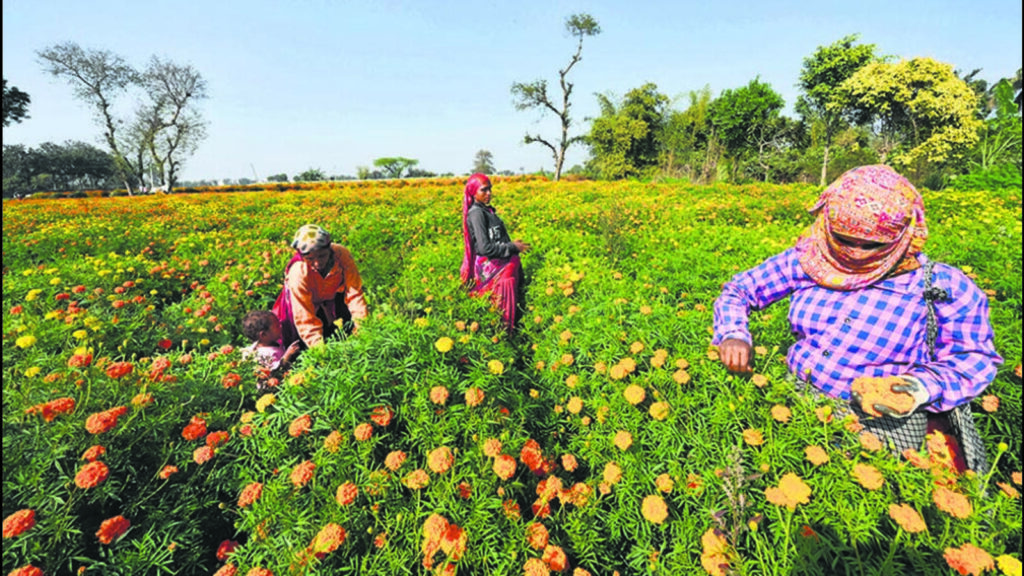 Palla: The first, untarnished stretch of Yamuna in Delhi | Latest News Delhi