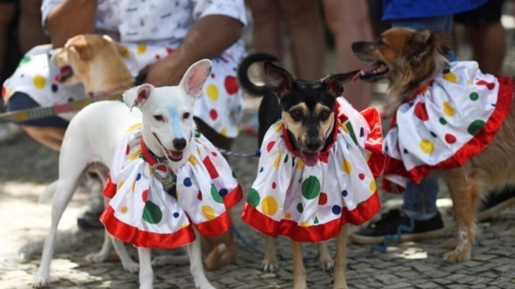 Paws on parade: Rio’s Carnival street party turns dogs into superheroes, cartoon stars