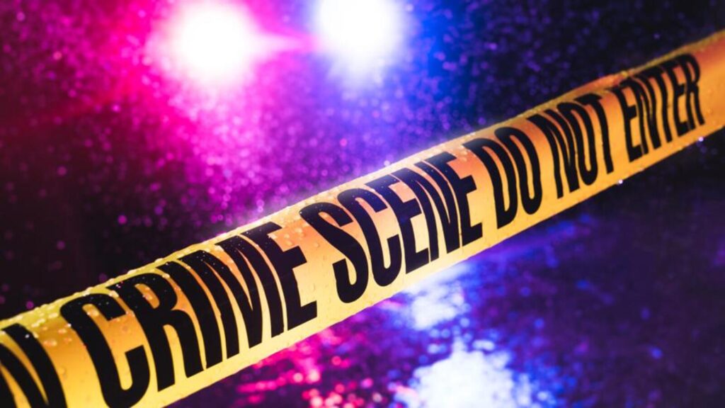 Powai bizman loses ₹1.38 cr to online share trading fraud | Mumbai news