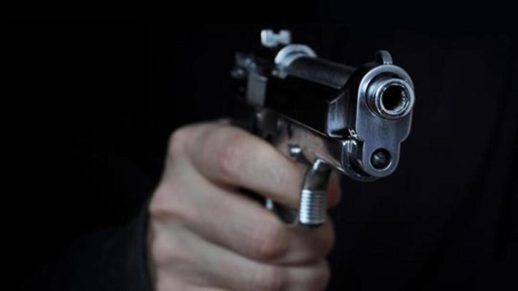 Punjab STF arrests two criminals after encounter in Hansi