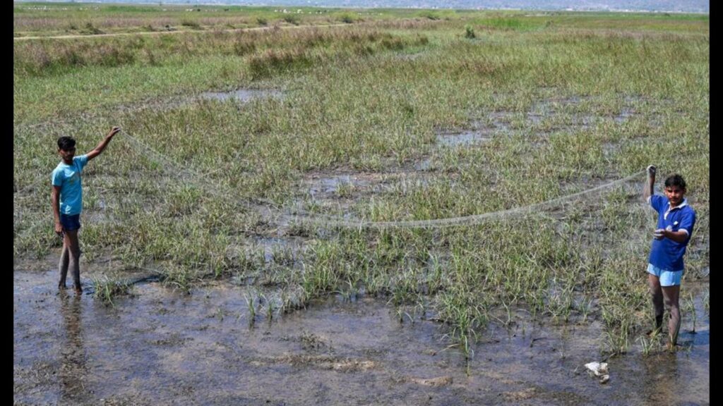 Rampant bird hunting uncovered at Nuh’s Kotla reservoir
