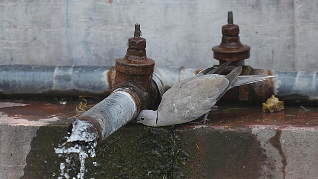 Residents of Delhi’s Maharani Bagh cry foul over ‘smelly’ water | Latest News Delhi