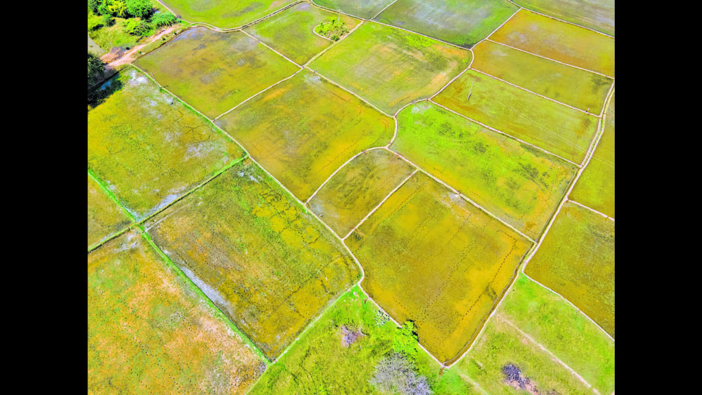 Restrictions apply*: Mridula Ramesh on why fasting is good for the planet