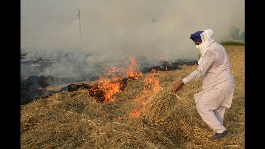 SC junks plea to direct Punjab, Haryana to control stubble burning